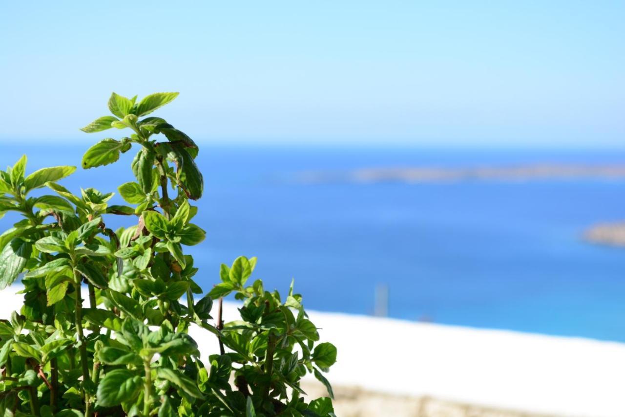 Anemolia Villa Lakki  エクステリア 写真